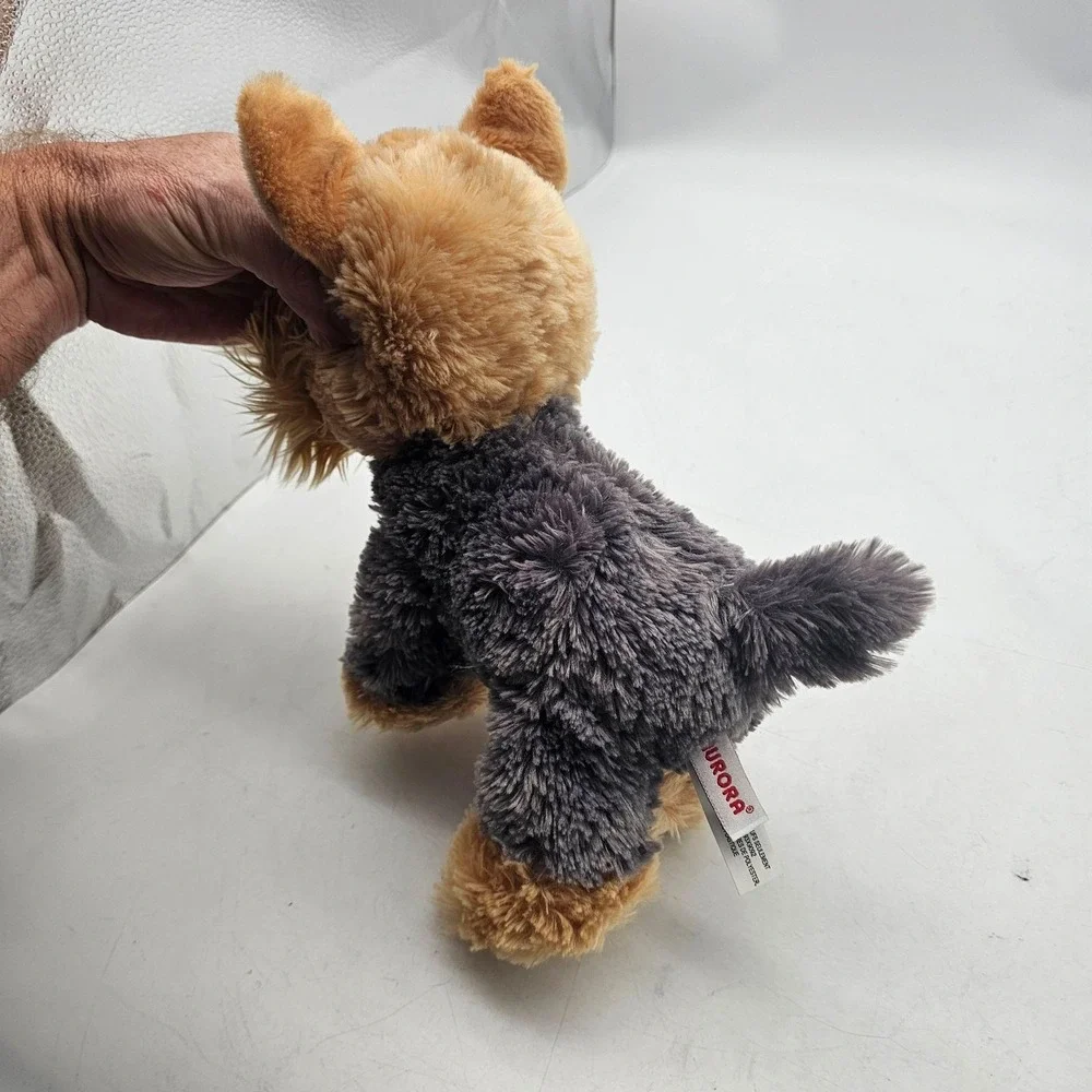 Aurora yorkie dog